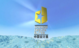 2015中国设计星回顾篇